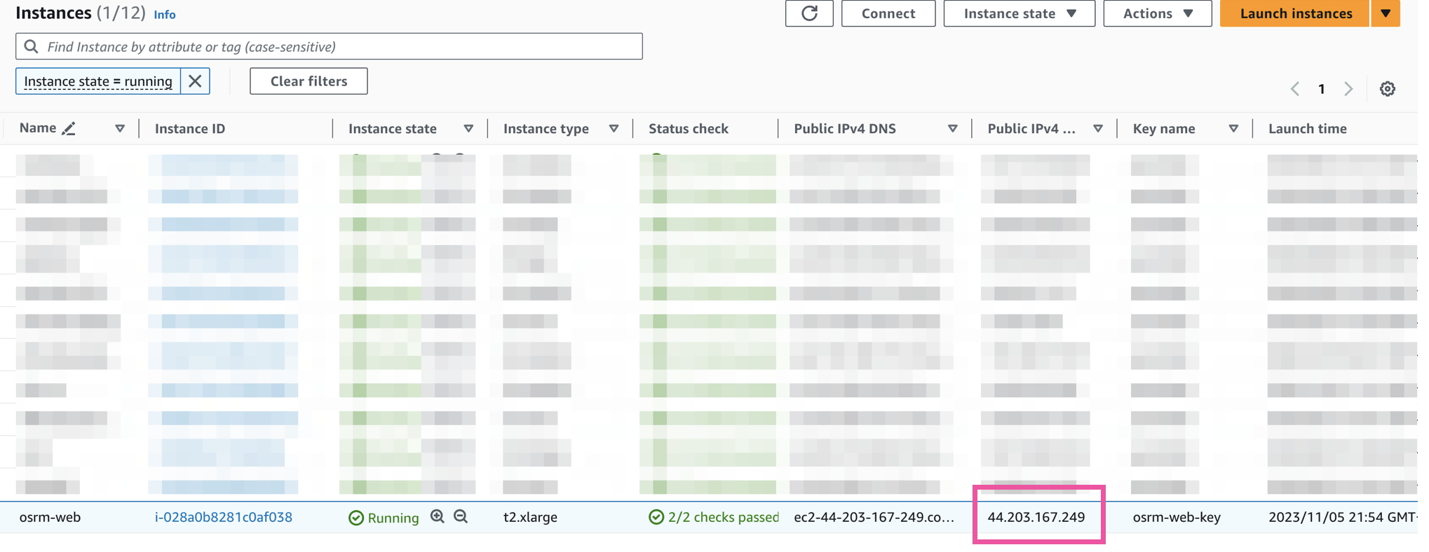 IP address of our self hosted OSRM API