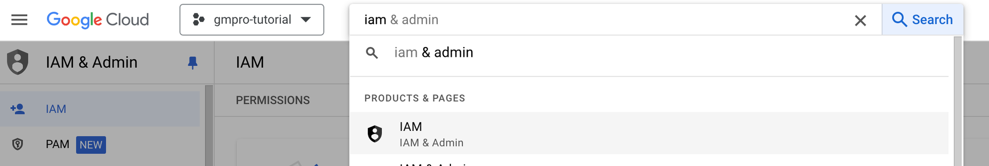 Setting up IAM & Admin to enable GMPRO permissions