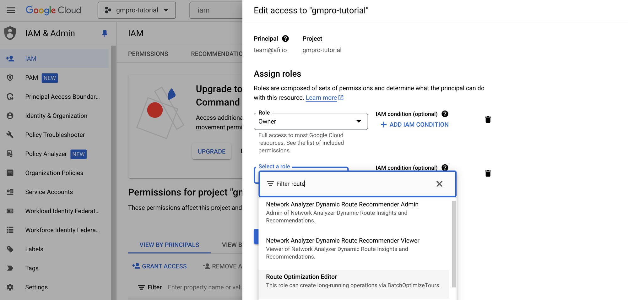 Assigning route optimization viewer and route optimization editor roles