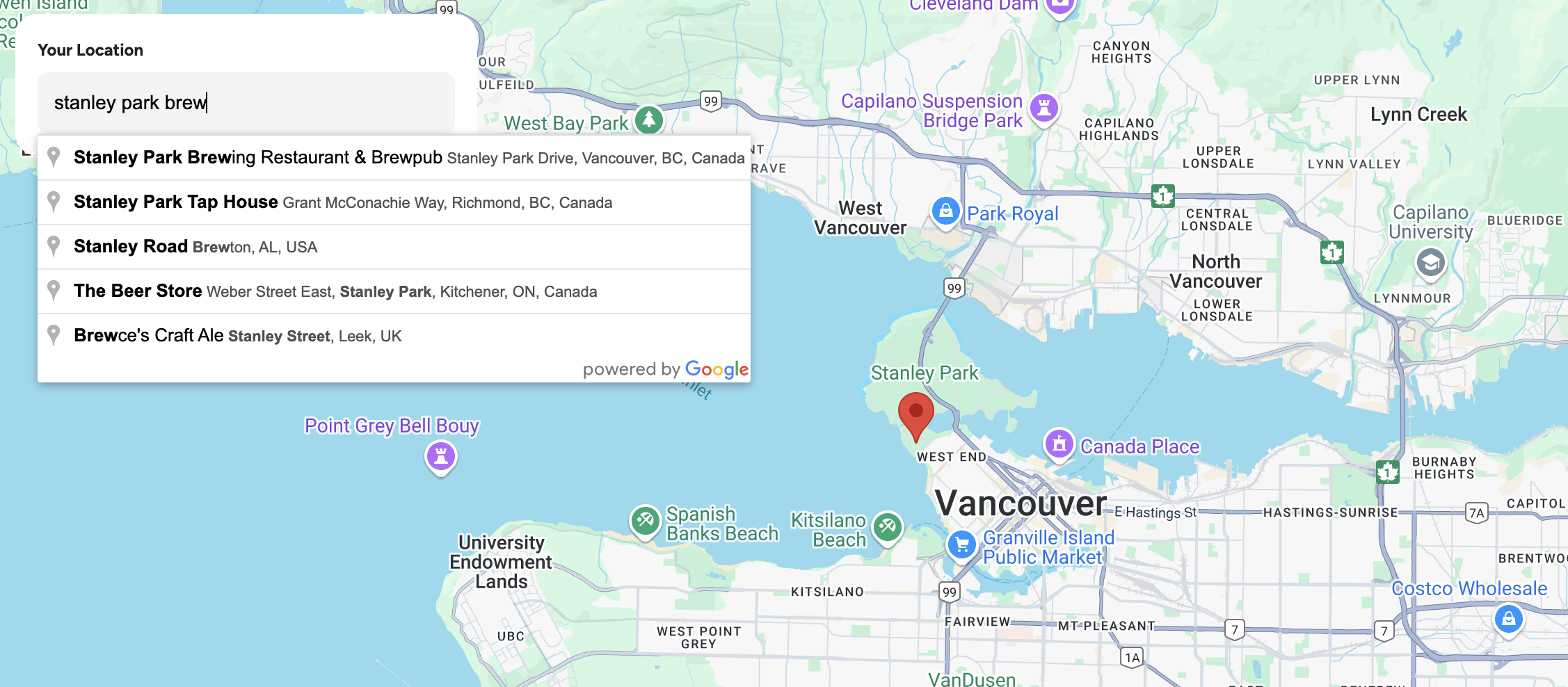 Using Place Autocomplete to provide location-based suggestions in a search input text field