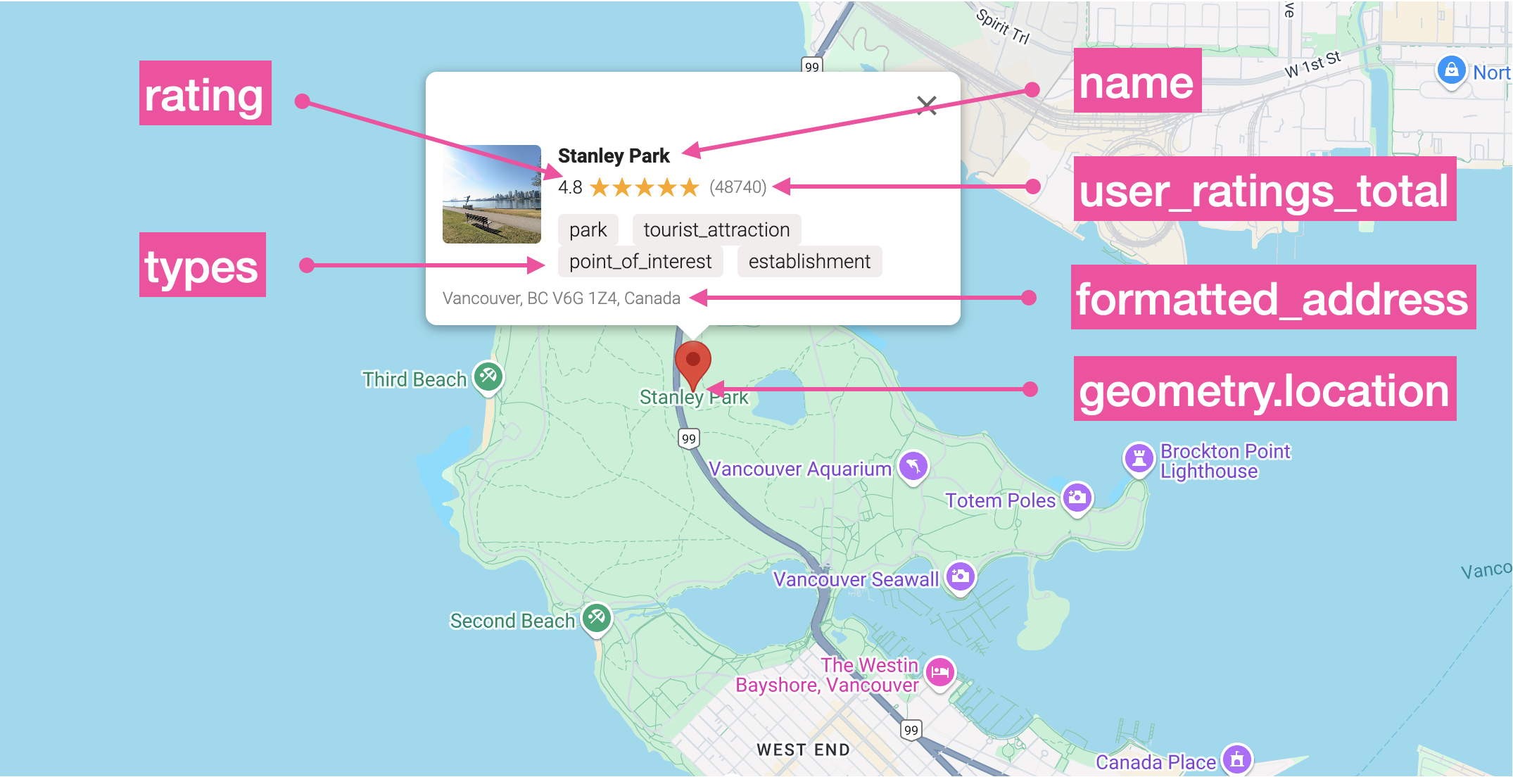 Fields from the Google Place Details API response