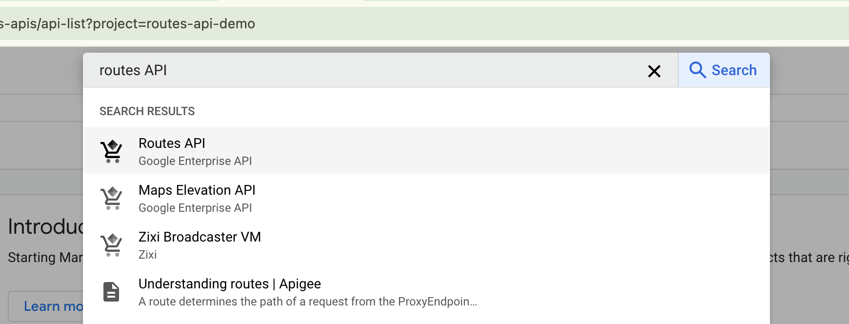Choosing the Routes API on the Google Cloud Console