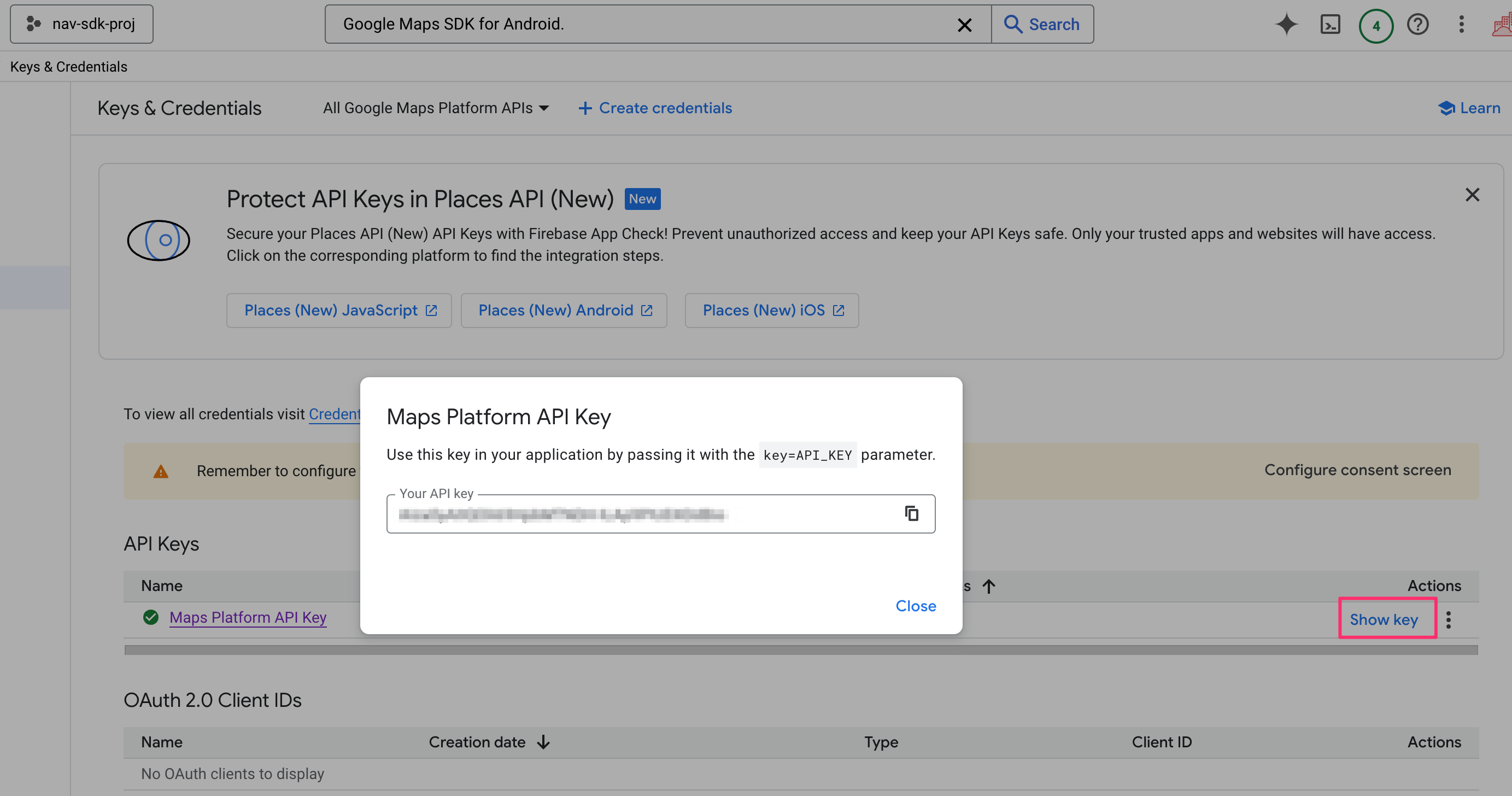 Retrieving the Google Navigation SDK API key for use in your app