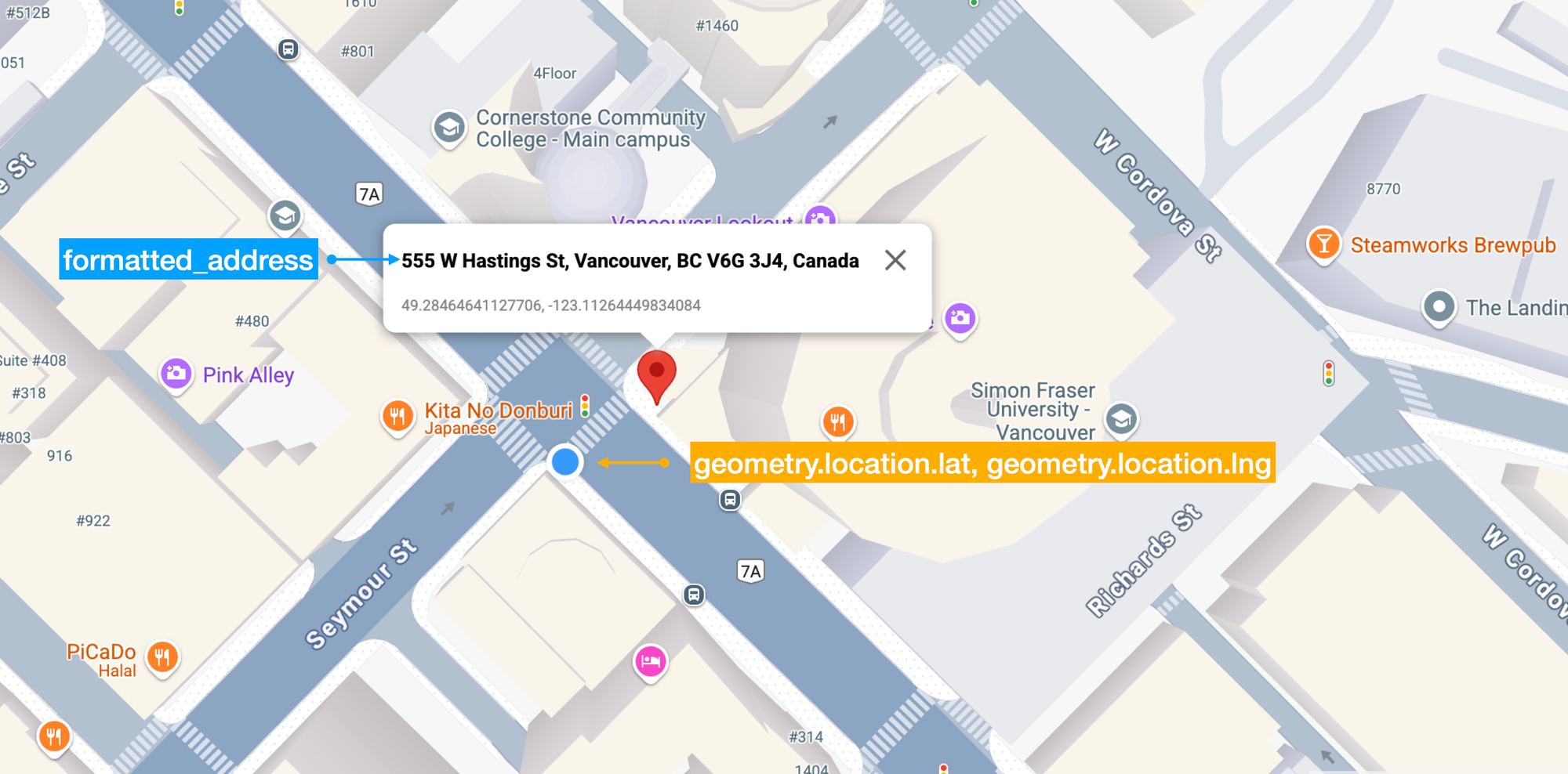 Data returned by the reverse geocoding endpoint of the Google Geocoding API